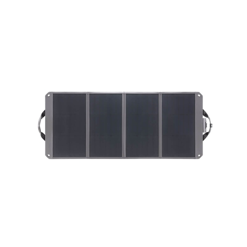Zignes 100W Solar Panel (CA)