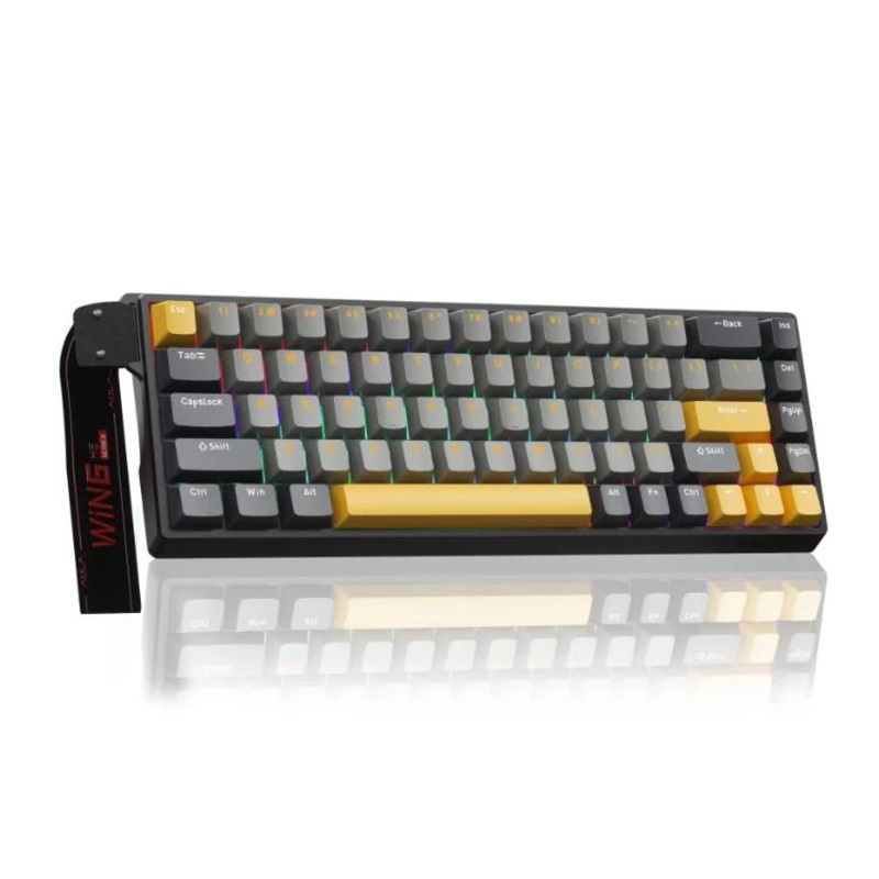 AULA WIN68HE MAX Version 68 Keys RGB Wired Keyboard(Dark+Light+Yellow Wing Chun Magnetic Axis)