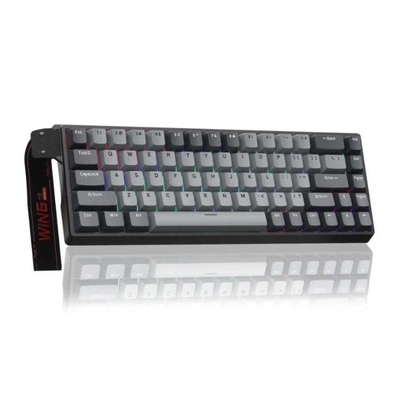 AULA WIN68HE Pro Version 68 Keys RGB Wired Keyboard(Dark Grey+Light Grey Shaped Magnetic Axis)