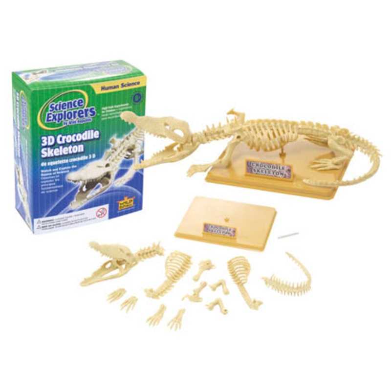 86021 - CROCODILE SKELETON KIT