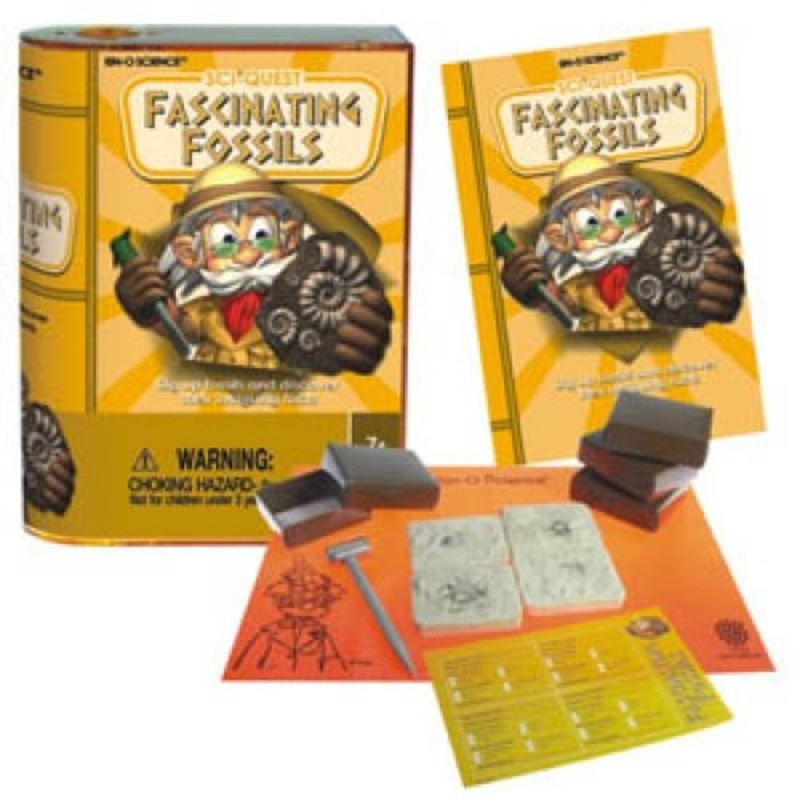2283 - EXPLORING FOSSILS
