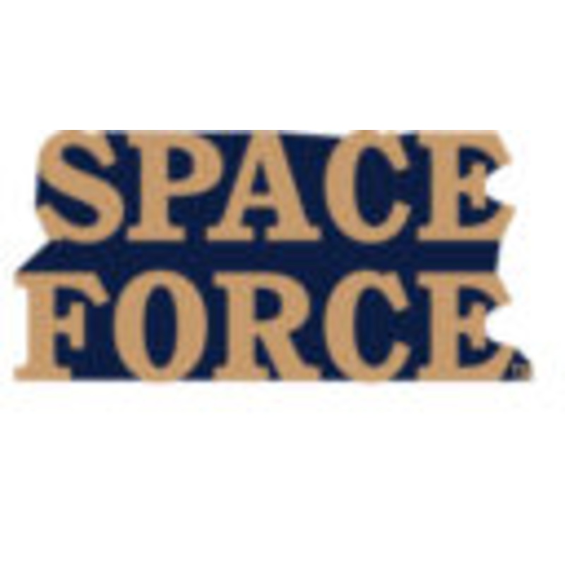 Space Force Pin