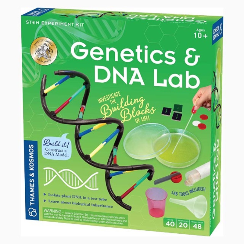 665007 - GENETICS AND DNA