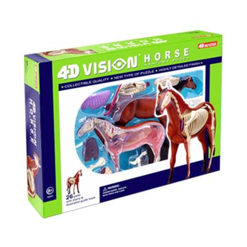 26101 - HORSE ANATOMY MODEL-AGES 8+ 4D-VISION