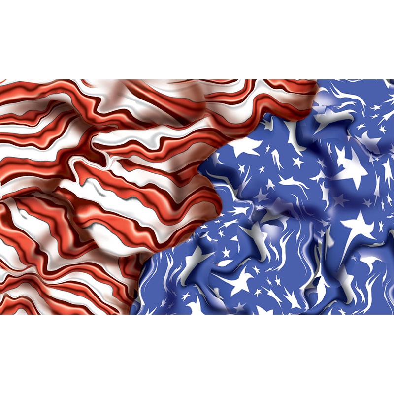 Pine Car Custom Body Skin Freedom Flag