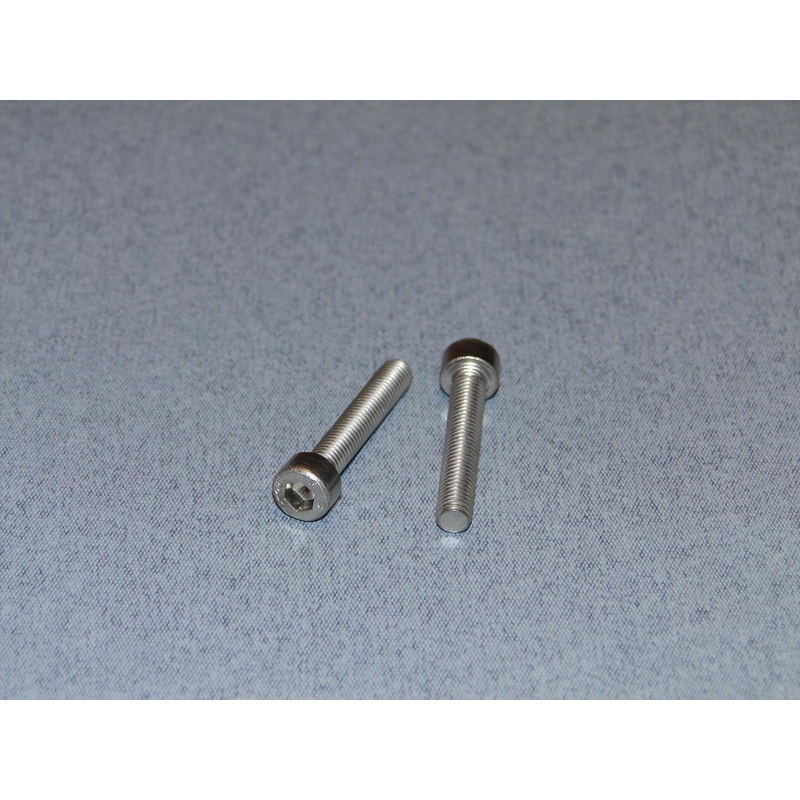 SS Socket Hd Screw M5 30mm Pk2 : SCR01/30M5