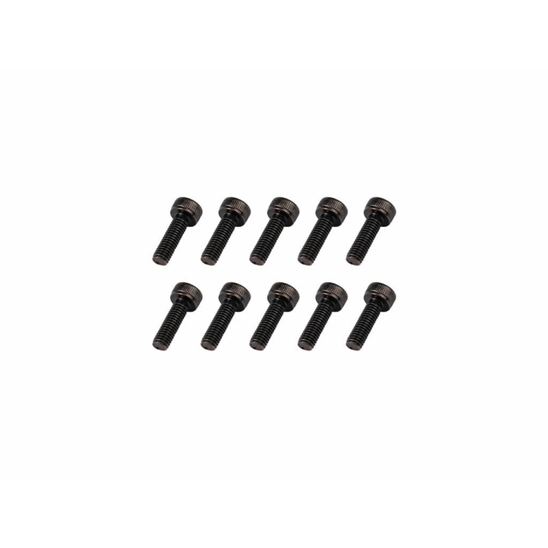 Goosky RS5/RS6/RS7 Screws -M3X10 : GT040109