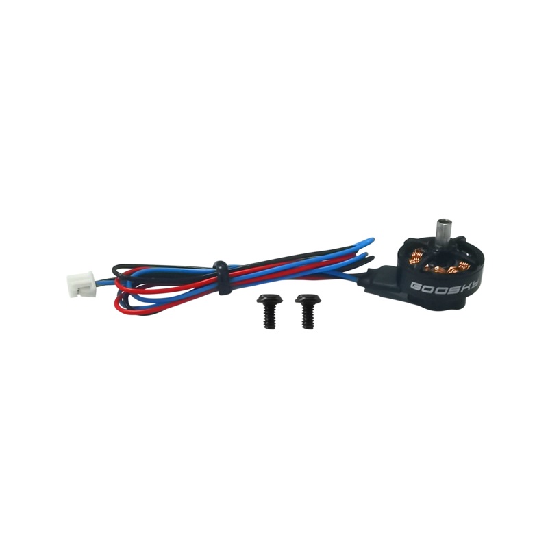 Goosky S1 Tail Motor