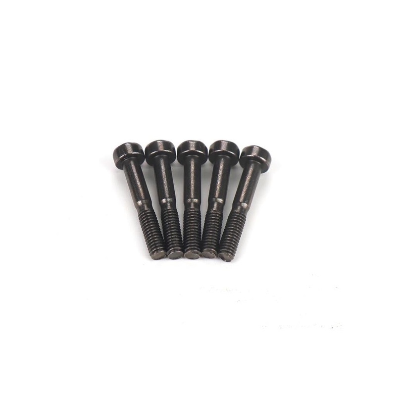 Goosky RS5/RS6 Screws - M3X18 : GT060083