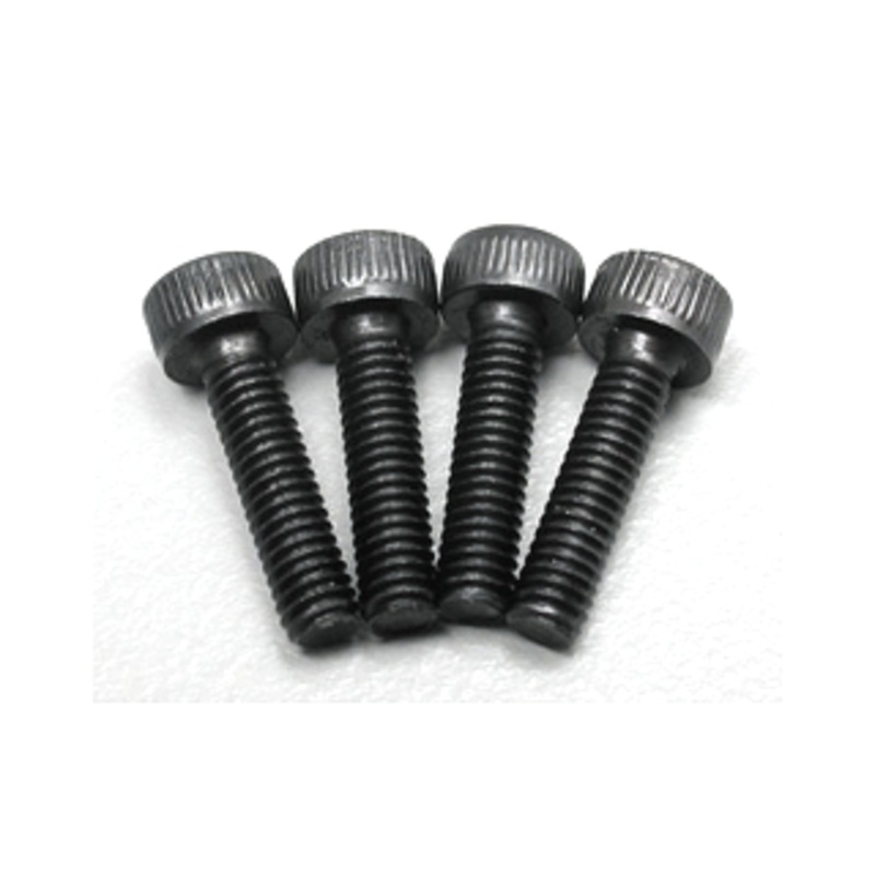 2.5mmx10 Socket Head Cap Screw