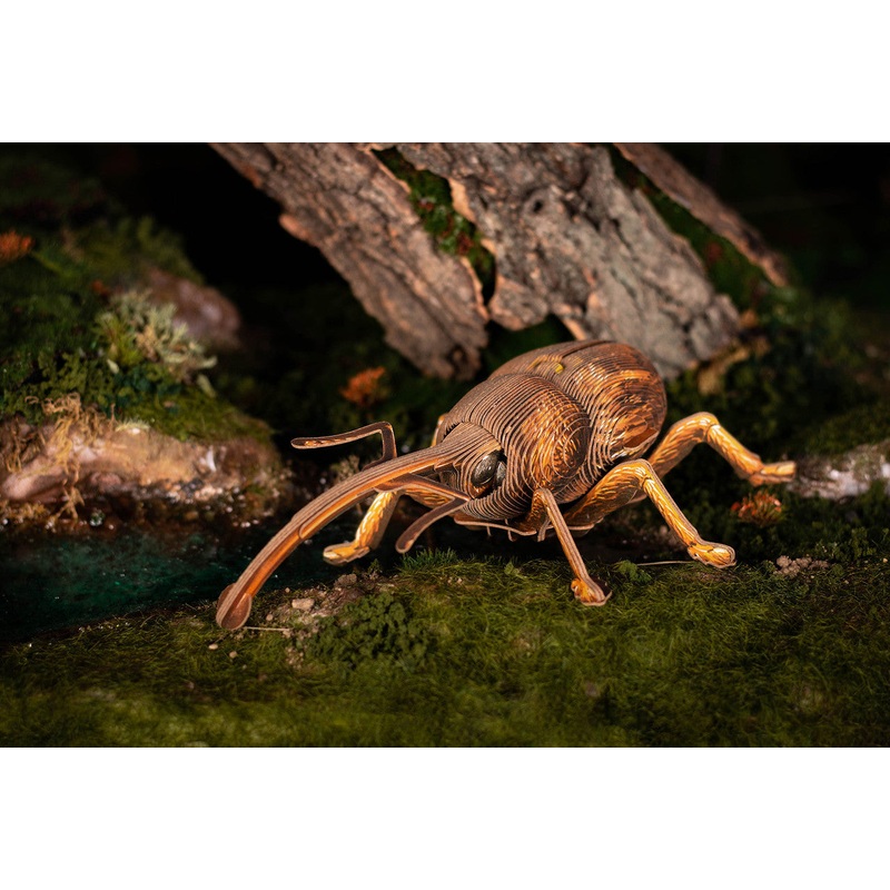 Weevil 3D Kraft Paper Puzzle :MKBB0004