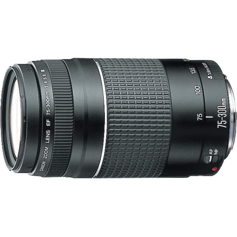 Canon EF 75-300mm F4-5.6 III Telephoto Zoom Lens none