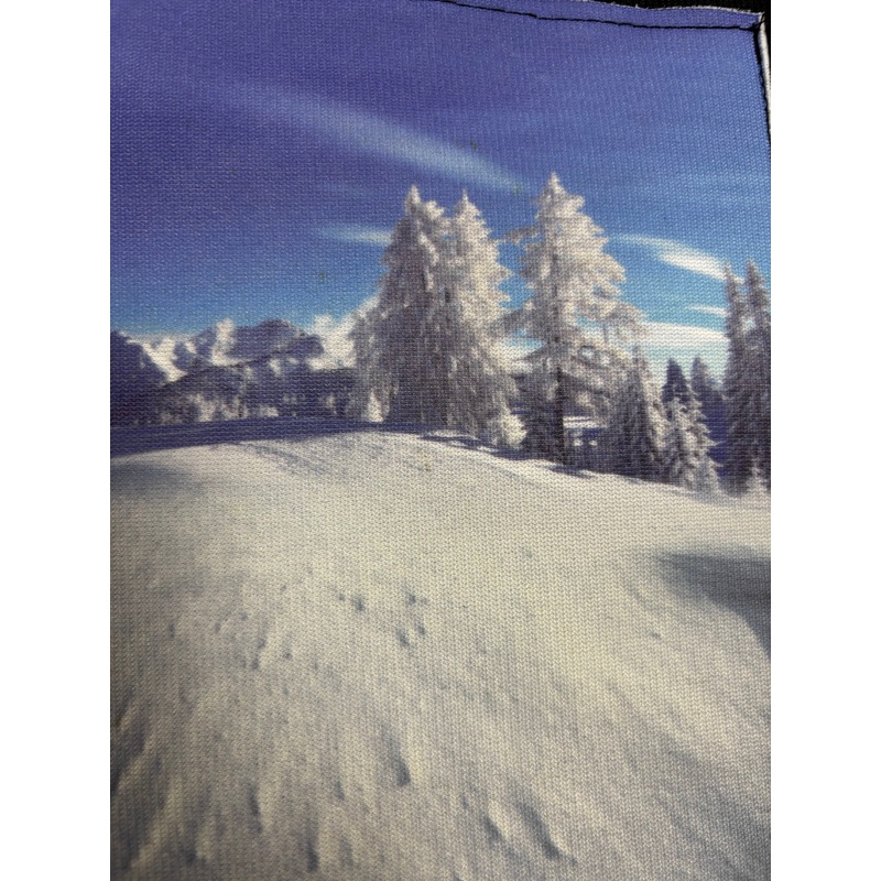 PRO Scenic Backdrop Snow 8' x 10'