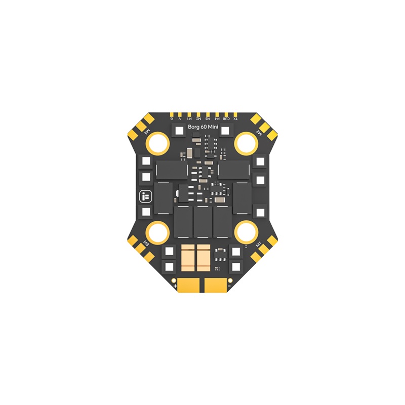 Borg 60 Mini ESC