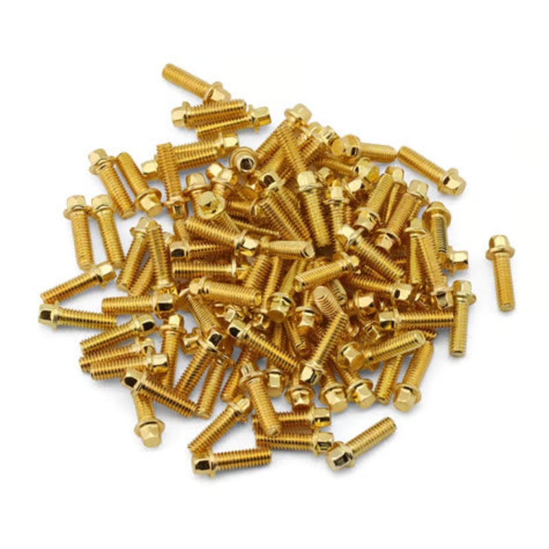 Treal Hobby 1.9 Beadlock Wheel Steel Scale Hex Head Screws (Gold) (100) GOLD