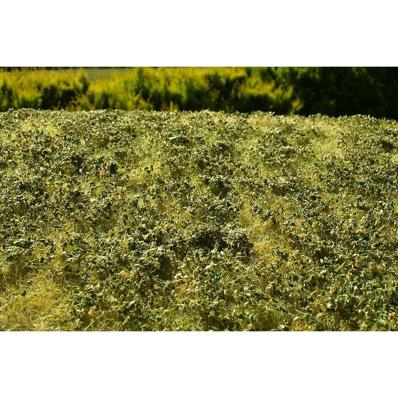 Model Scene F503 Low Bushes - Late Summer