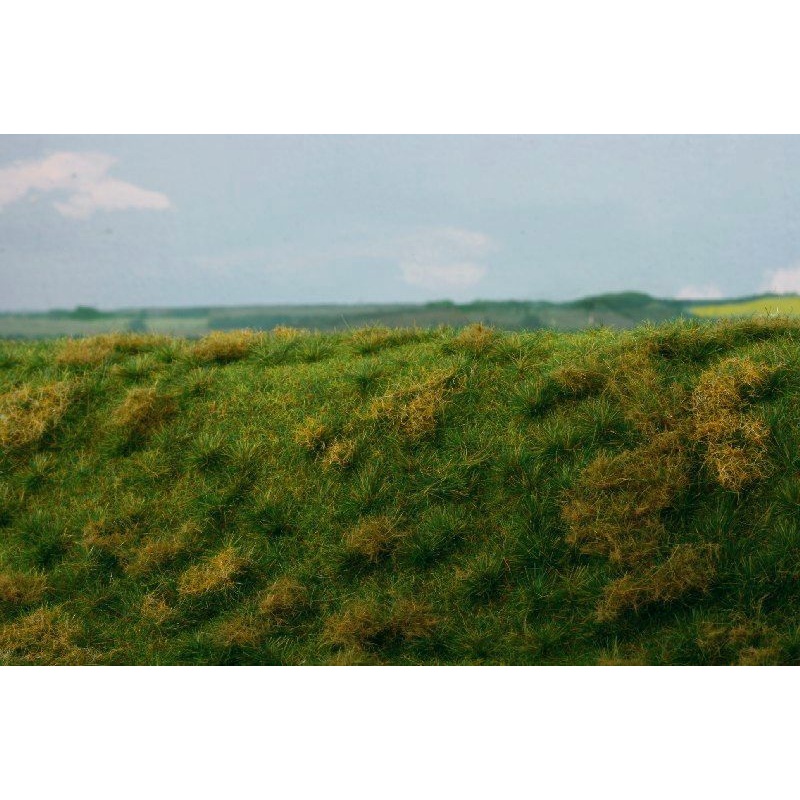Model Scene F522 Fallow field, Early summer