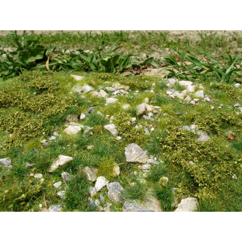 Model Scene F722 Early Summer, Stony (calc)