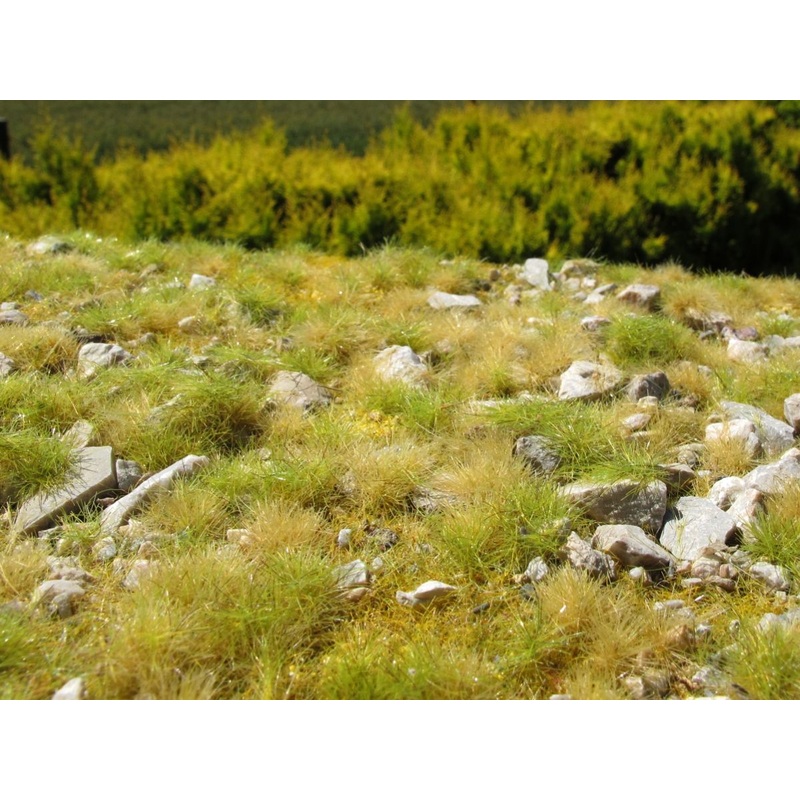 Model Scene F733 Late Summer, A lot of Calc Stones