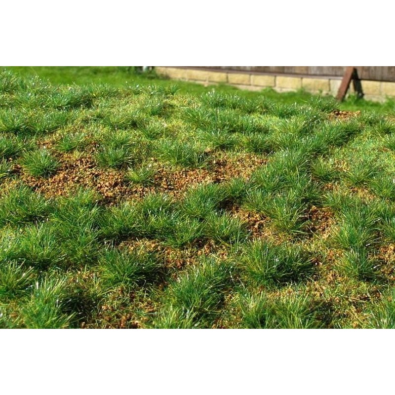 Model Scene F532 Steppe Green (Early Summer)