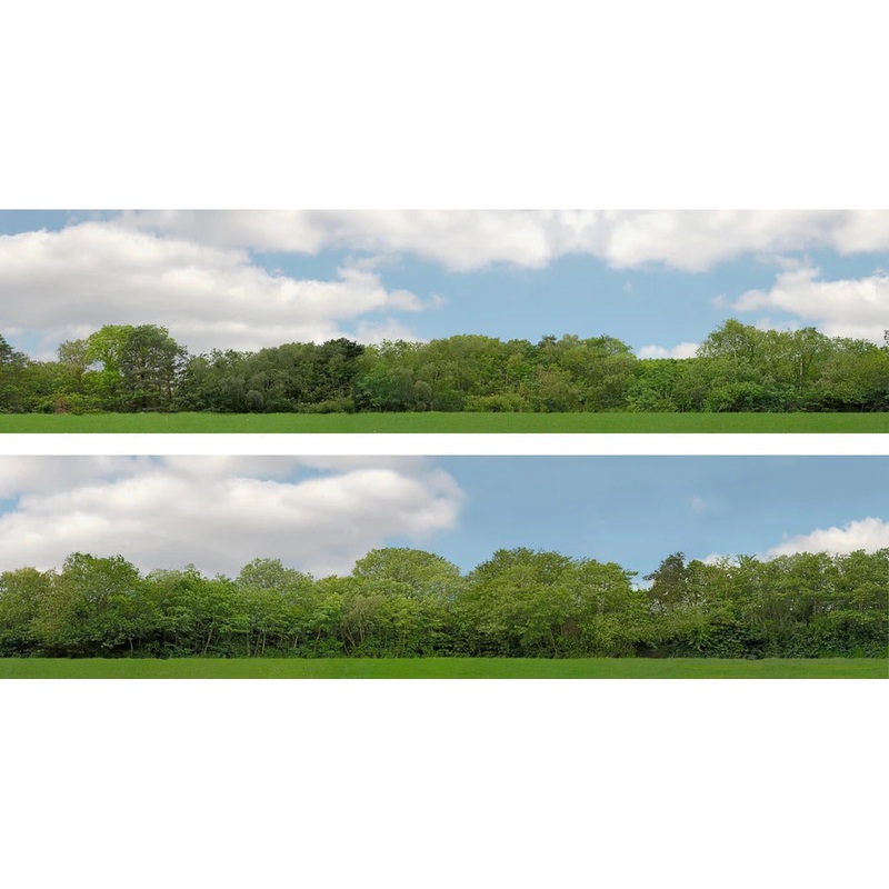 95400 Art Printers OO Gauge 15 Inch High Backscene Trees (147D)