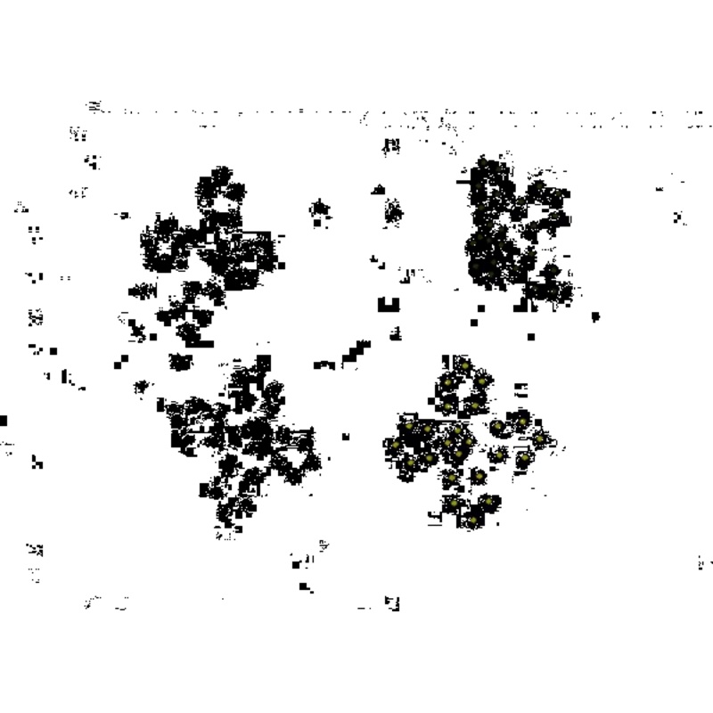 Flowers animation - 120 Drones