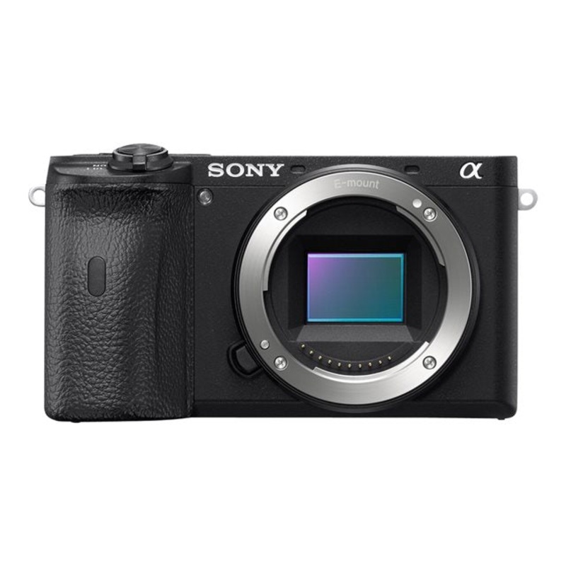 Sony a6600 Mirrorless Camera Body