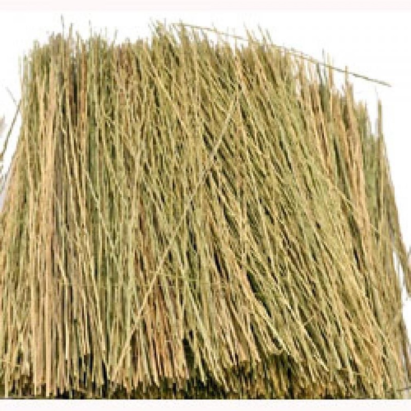 JTT Scenery 95084 Field Grass Nat. Brn.reR8861