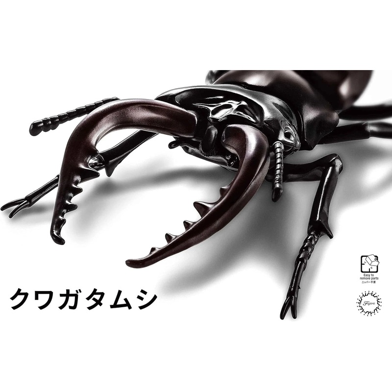 Fujimi 171241 Biology Edition Stag Beetle