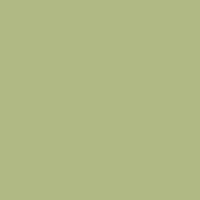 Superior Seamless Paper 53" x 36ft - Tropical Green