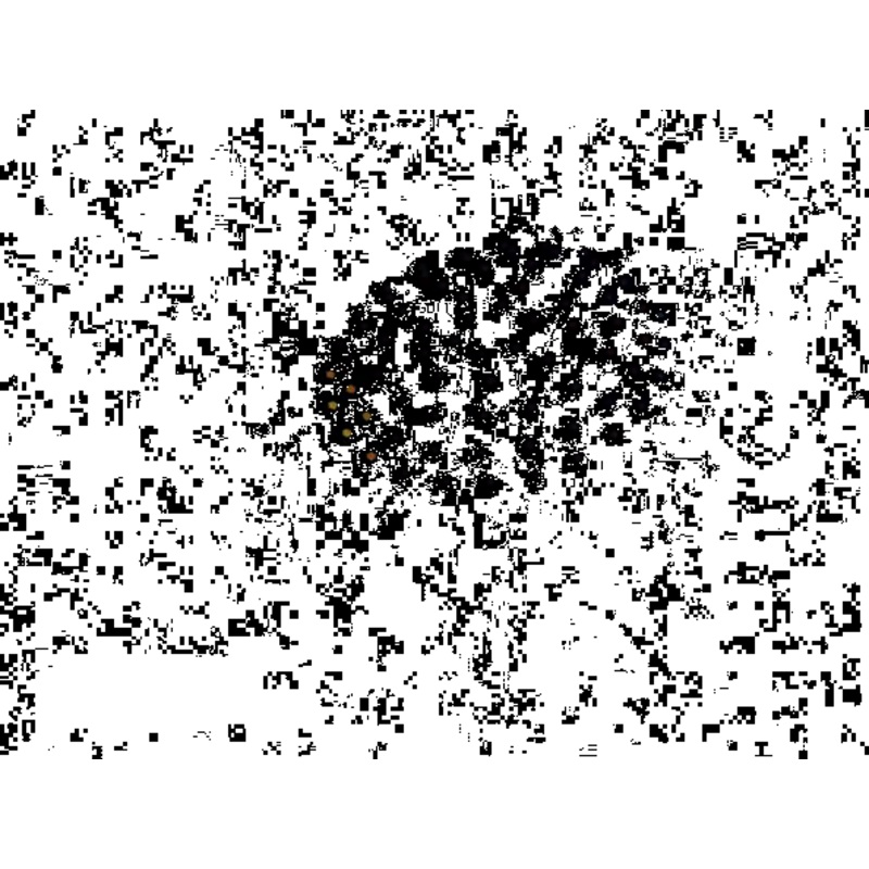 Tortoise animation - 120 Drones