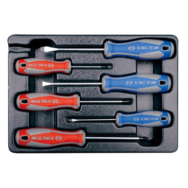 6-Piece Screwdriver Set with Storage Tray
